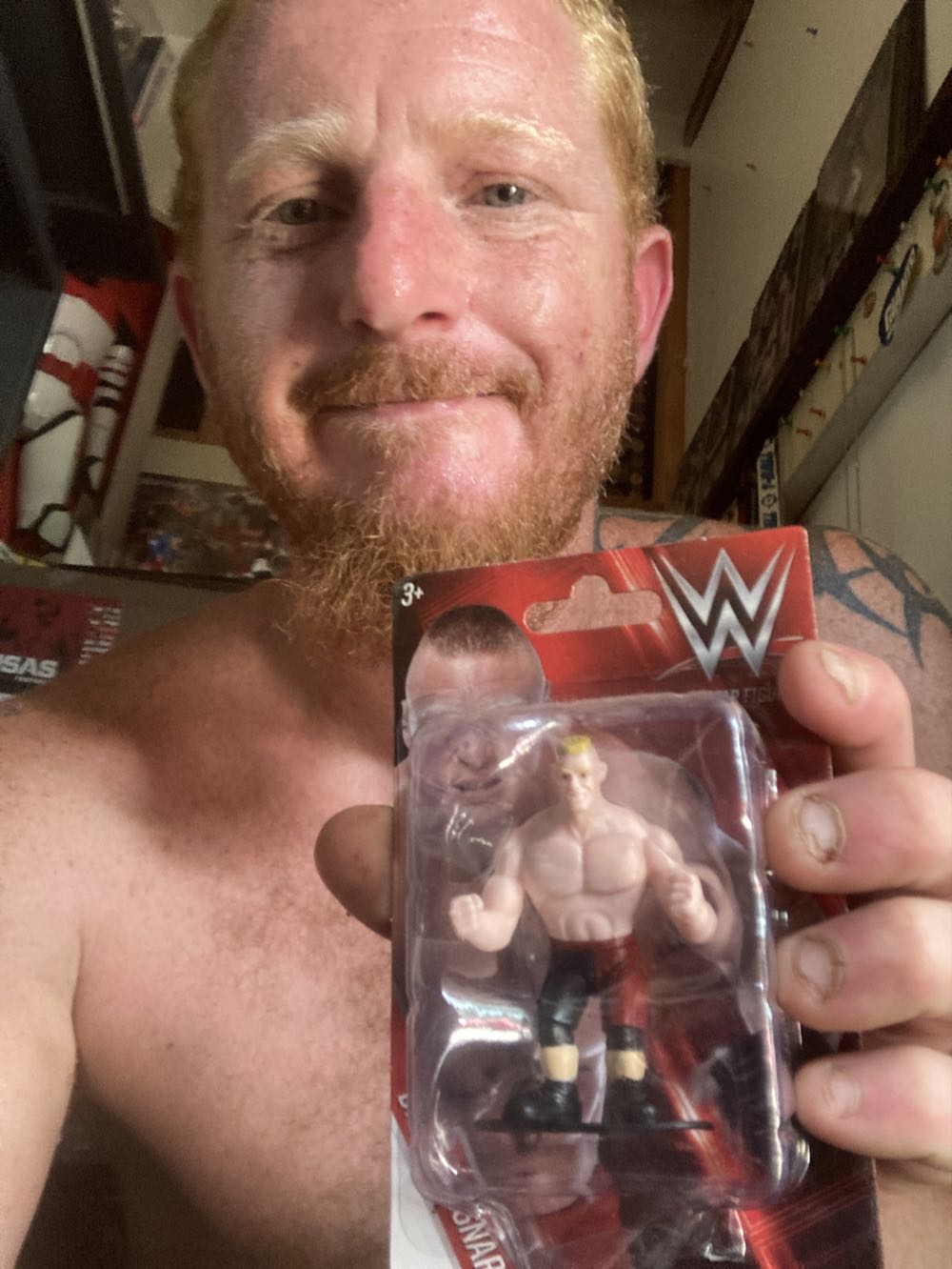 Brock Lesner - Beverly Hills Teddy Bear (WWE Superstar Figurines) action figure collectible [Barcode 639277275509] - Main Image 4
