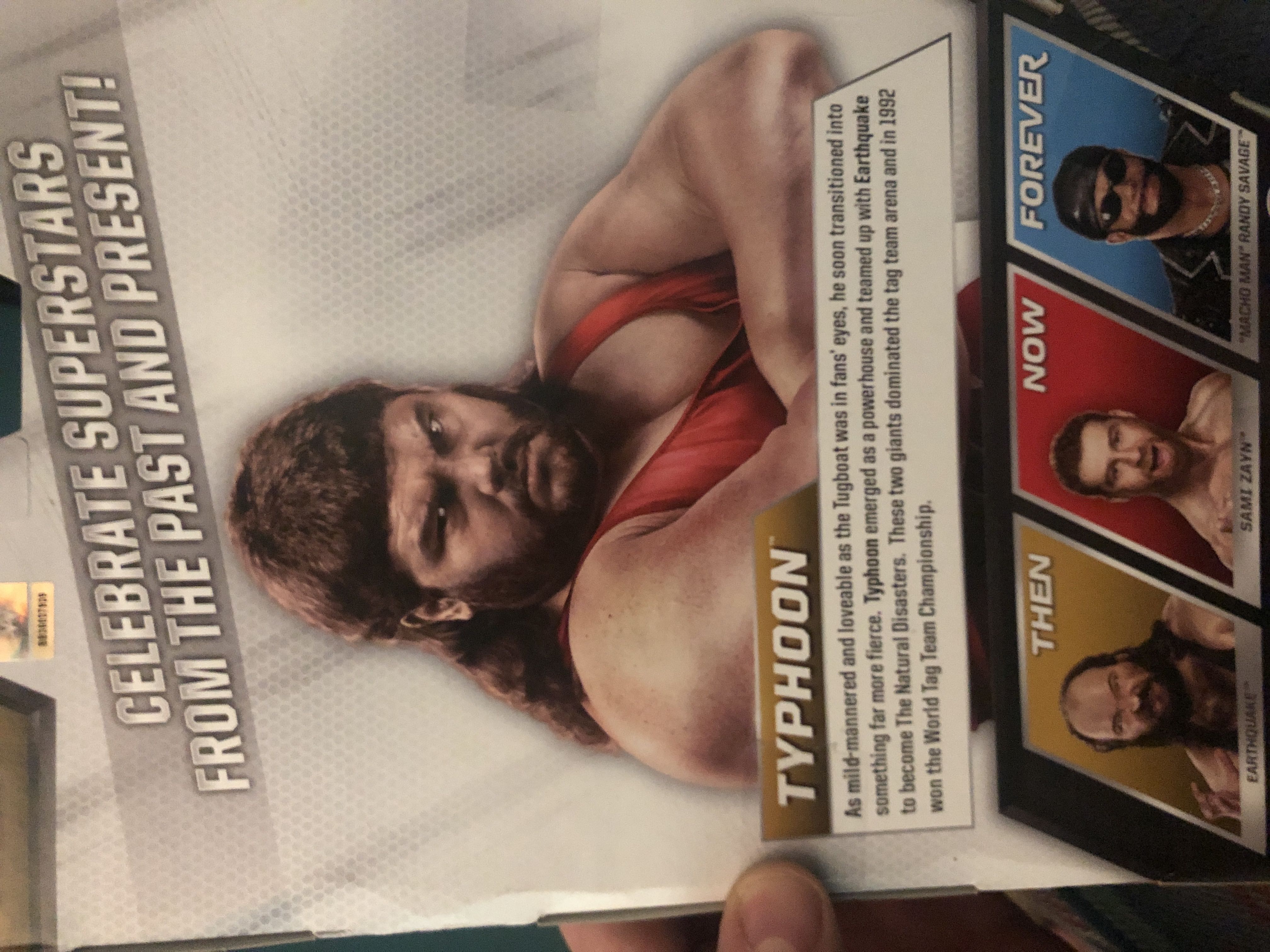 Typhoon - Mattel (WWE Then Now Forever Series 2) action figure collectible [Barcode 887961432350] - Main Image 2