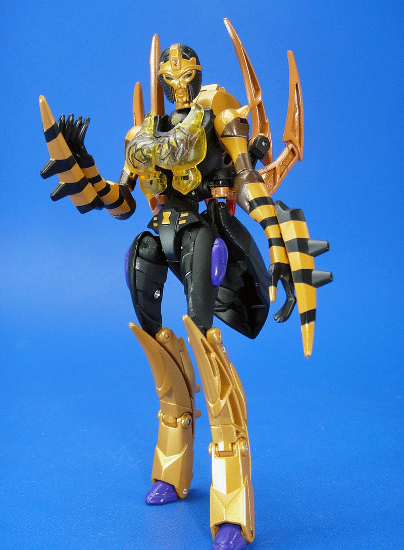 Finn Bálor Basic #77