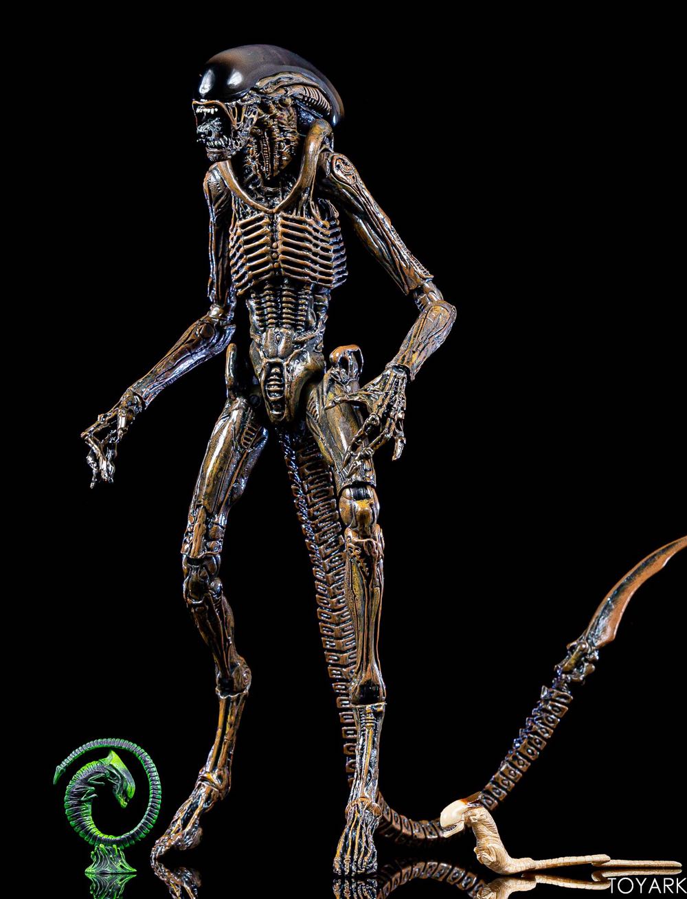 Alien 3 Dog Alien - Neca (Alien 3) action figure collectible [Barcode 634482515976] - Main Image 4