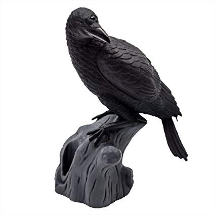 Three-Eyed Raven  action figure collectible - Main Image 2