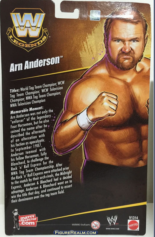 Arn Anderson - Mattel Wwe (WWE Legends) action figure collectible - Main Image 4