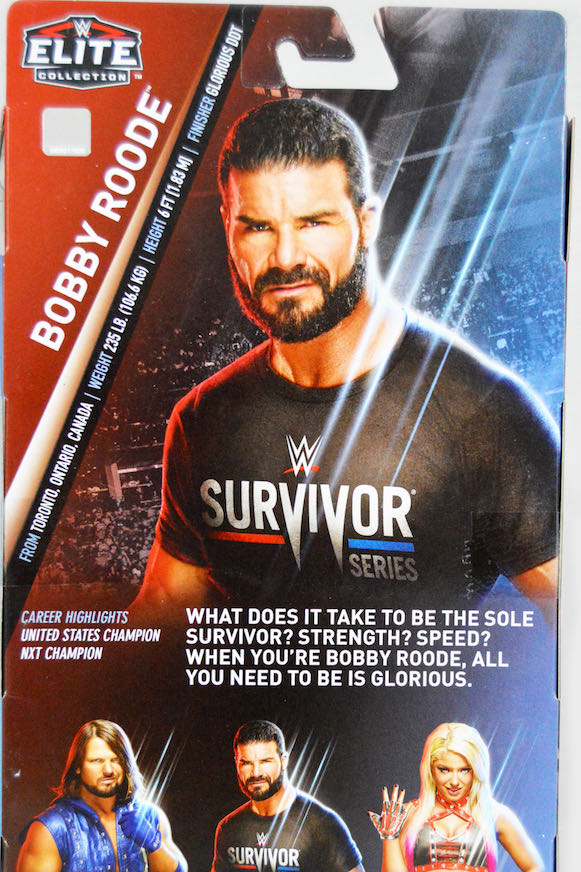 Bobby Roode - Mattel Wwe (WWE Survivor Series) action figure collectible - Main Image 4