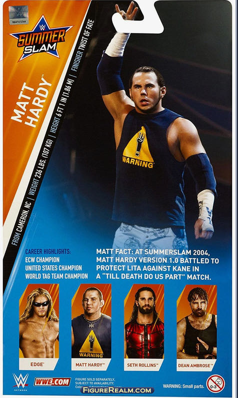 Matt Hardy - Mattel Wwe (WWE Summer Slam) action figure collectible - Main Image 4