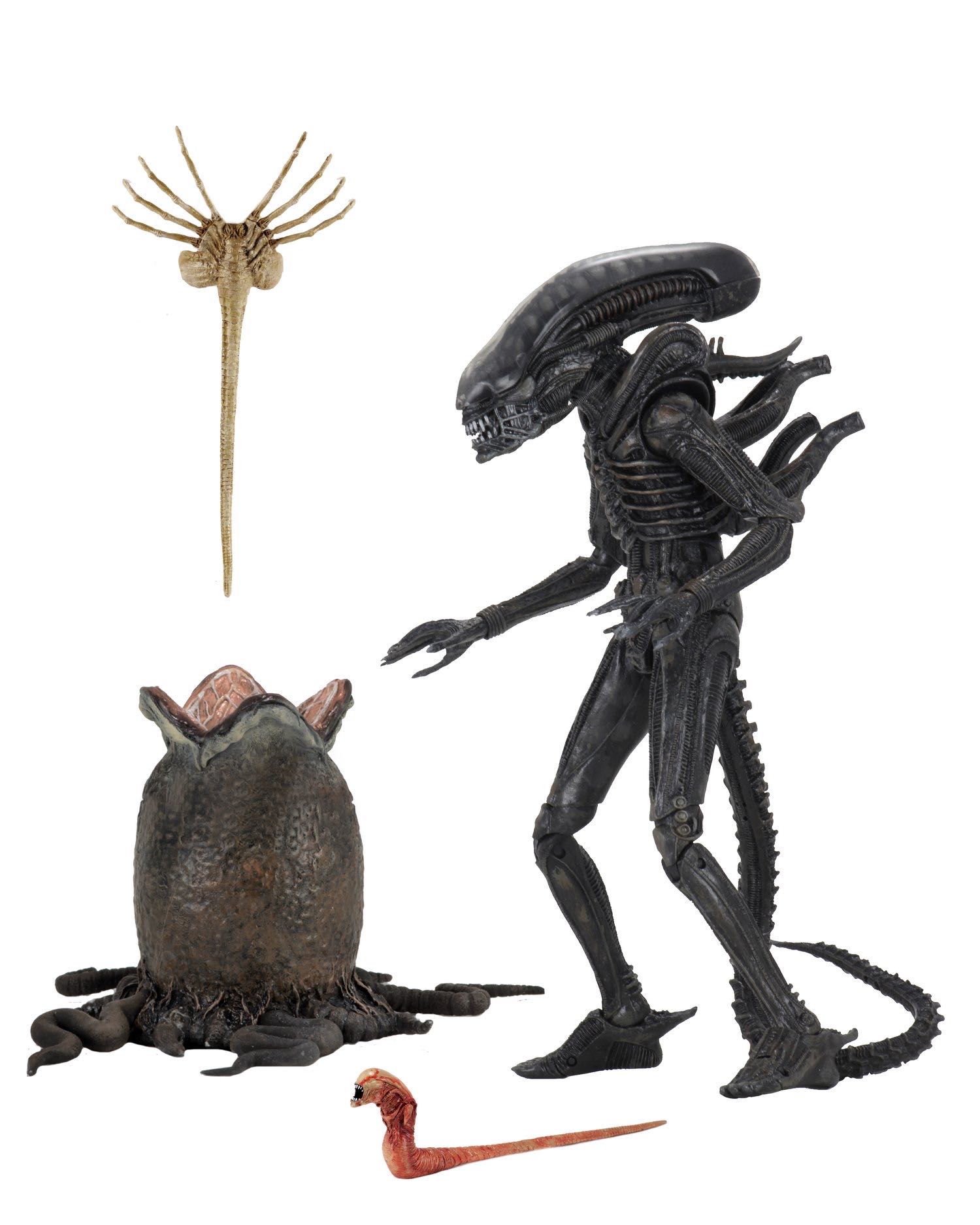Big Chap - Neca (Aliens) action figure collectible [Barcode 634482516461] - Main Image 4