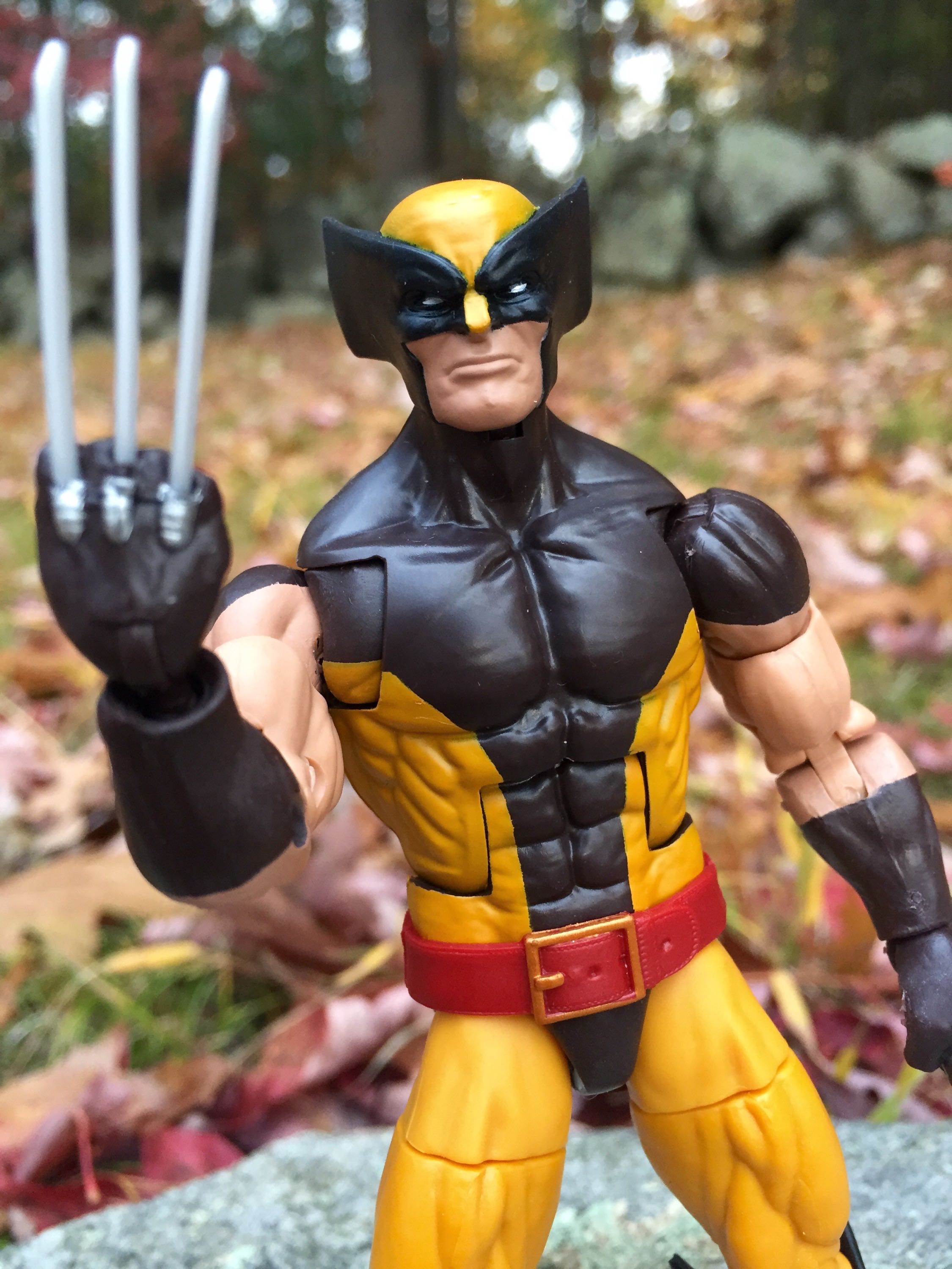 Wolverine - Hasbro Marvel (Marvel Legends) action figure collectible - Main Image 2