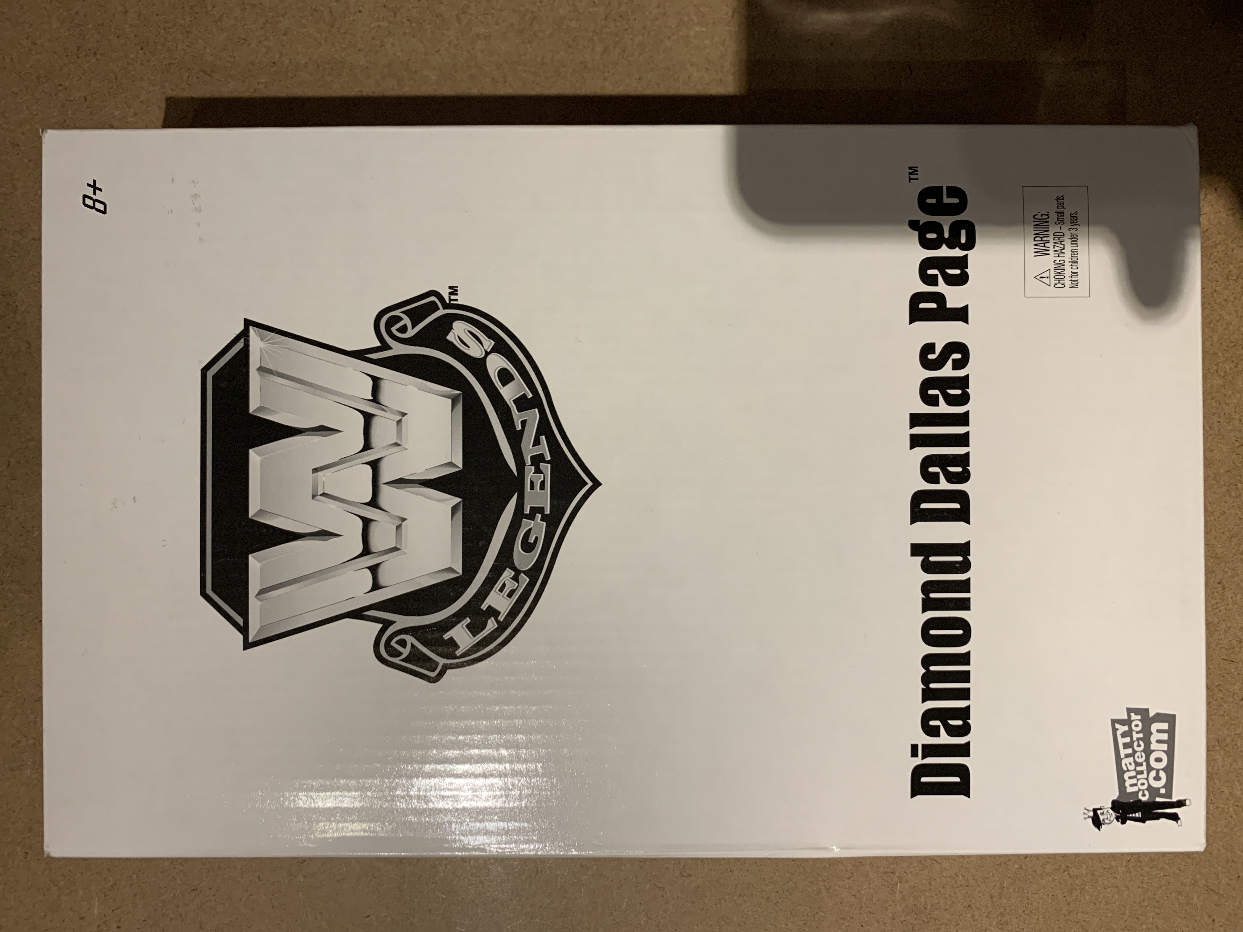 Diamond Dallas Page with Matty Collector Box  (Legends) action figure collectible - Main Image 3