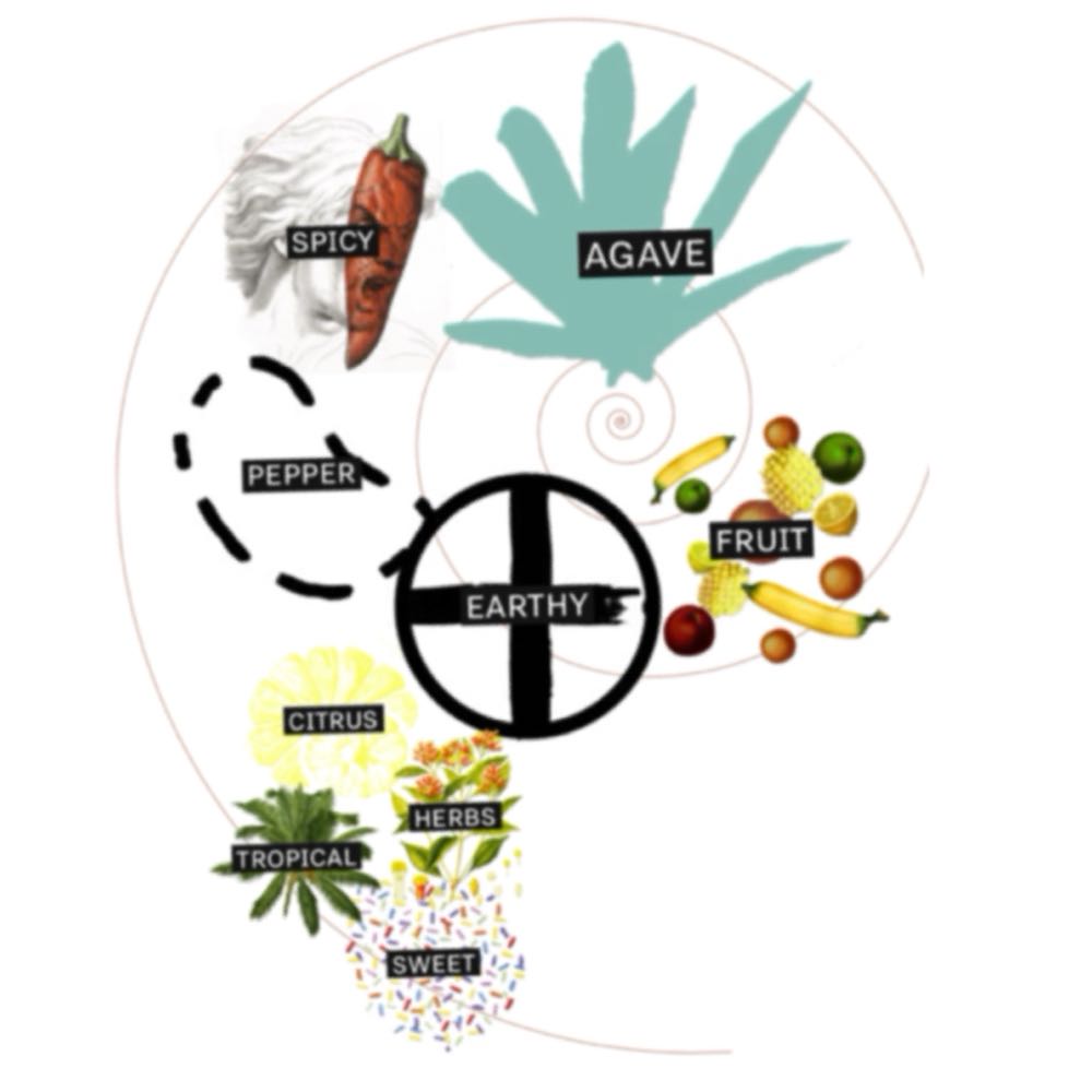 Milagro Silver Tequila - Tequilera Milagro, S.A. de C.V. (750 mL) alcohol collectible [Barcode 083664868919] - Main Image 2