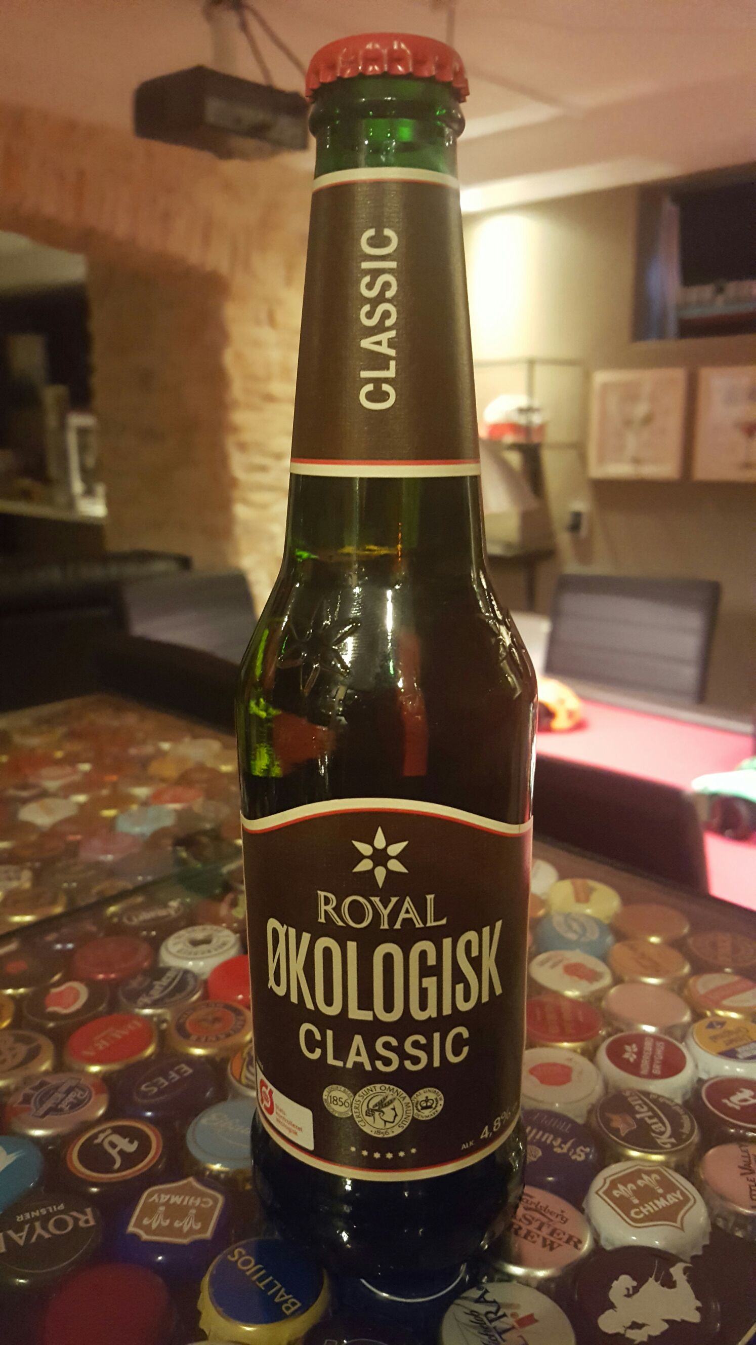 Wild Turkey Forgiven