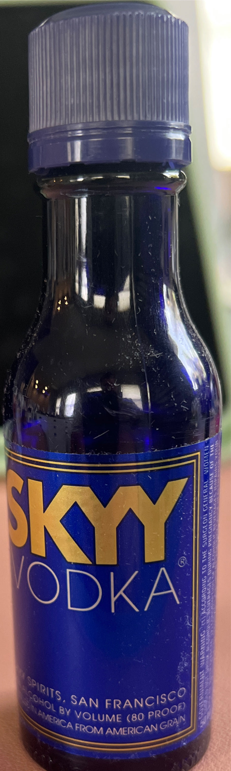 Skyy - Skyy Sprits (1.75 L) alcohol collectible [Barcode 721059017503] - Main Image 3