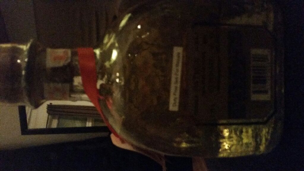 Patron - The Patron Spirits Company (175) alcohol collectible [Barcode 721733000890] - Main Image 2