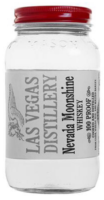 Haycutters Shingleback