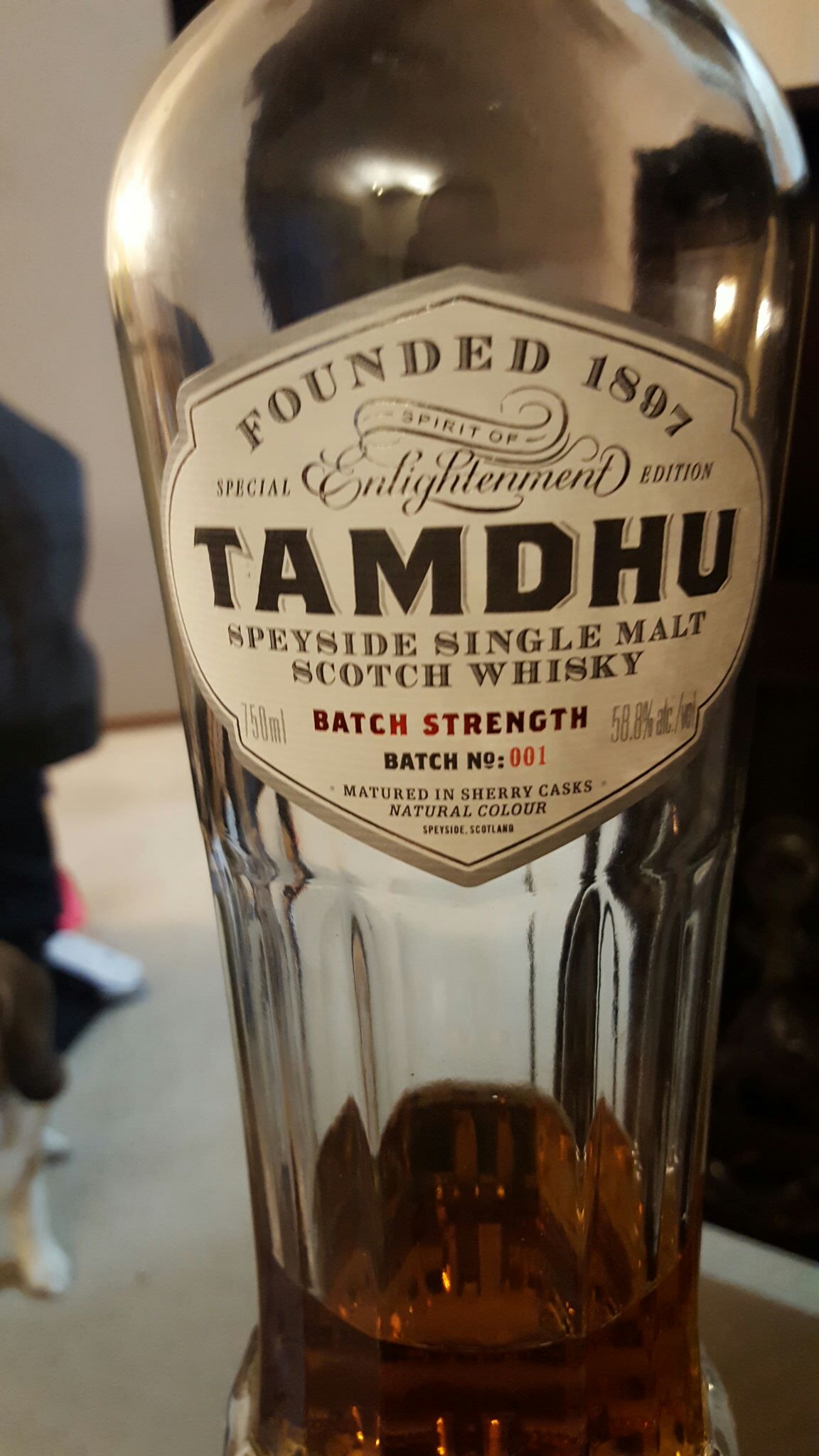 Live Kombucha Revive Root Beer