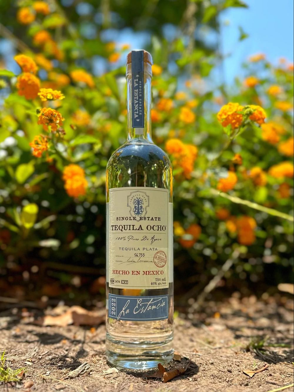 Tequila Ocho Plata - CIA Tequilera Los Alambiques, S.A de C.v. (750 mL) alcohol collectible [Barcode 898627001308] - Main Image 2