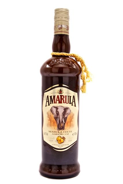 The Terrier’s Bitter 