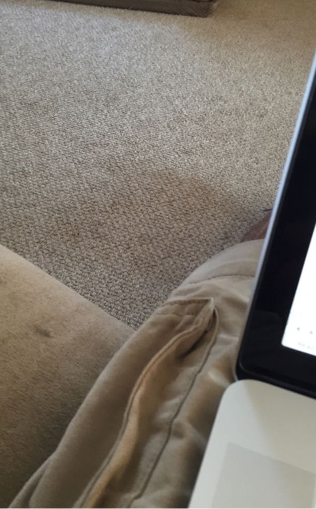 Palate Wrecker Imperial India Pale Ale