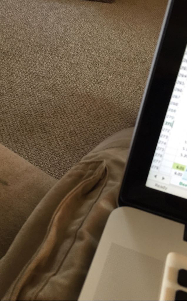 Santa Ema Carmenere "barrel Select" Chile #380