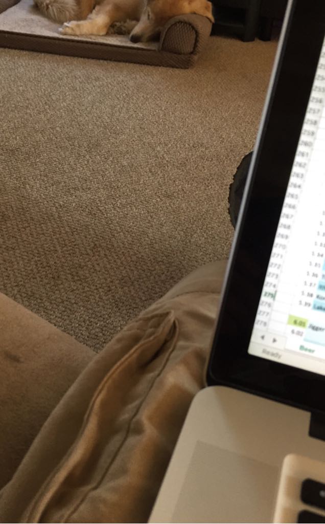 Ciroc Apple & Peach & Summer Citrus