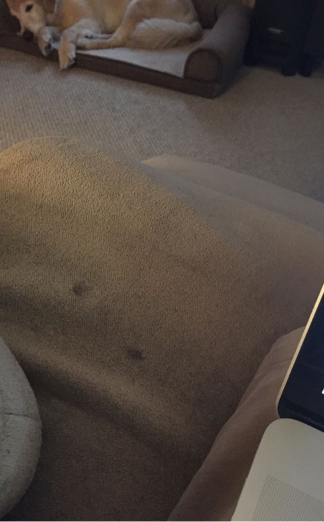 Santa Ema Carmenere "barrel Select" Chile #380