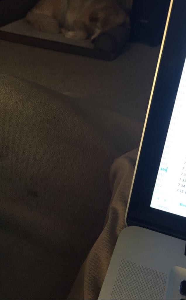 SMWS 42.22 Ledaig 9 Yrs