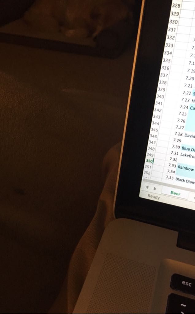 Llama Malbec "Old Vine" Mendoza, Argentina#290