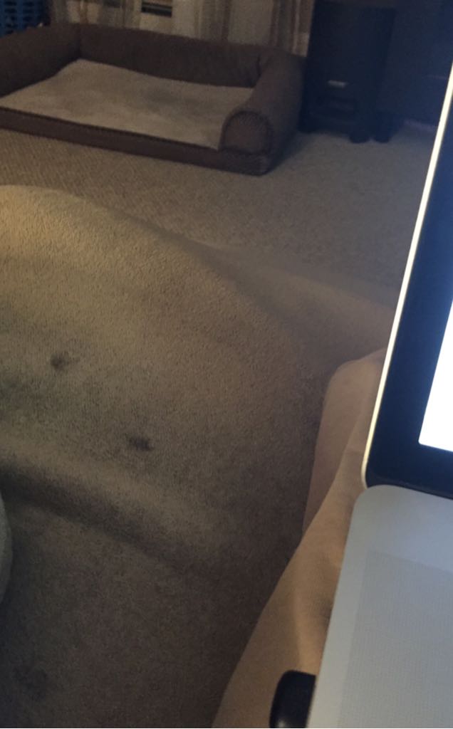 Greg Norman Pinot Noir, California #300