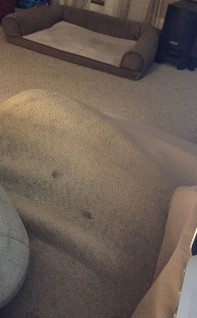 Battle Cry Barrel Aged Belgian Triple Ale