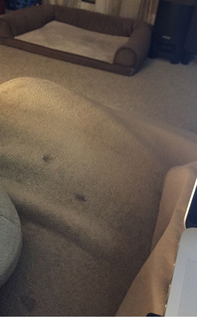 Couch Surfer Oatmeal Stout