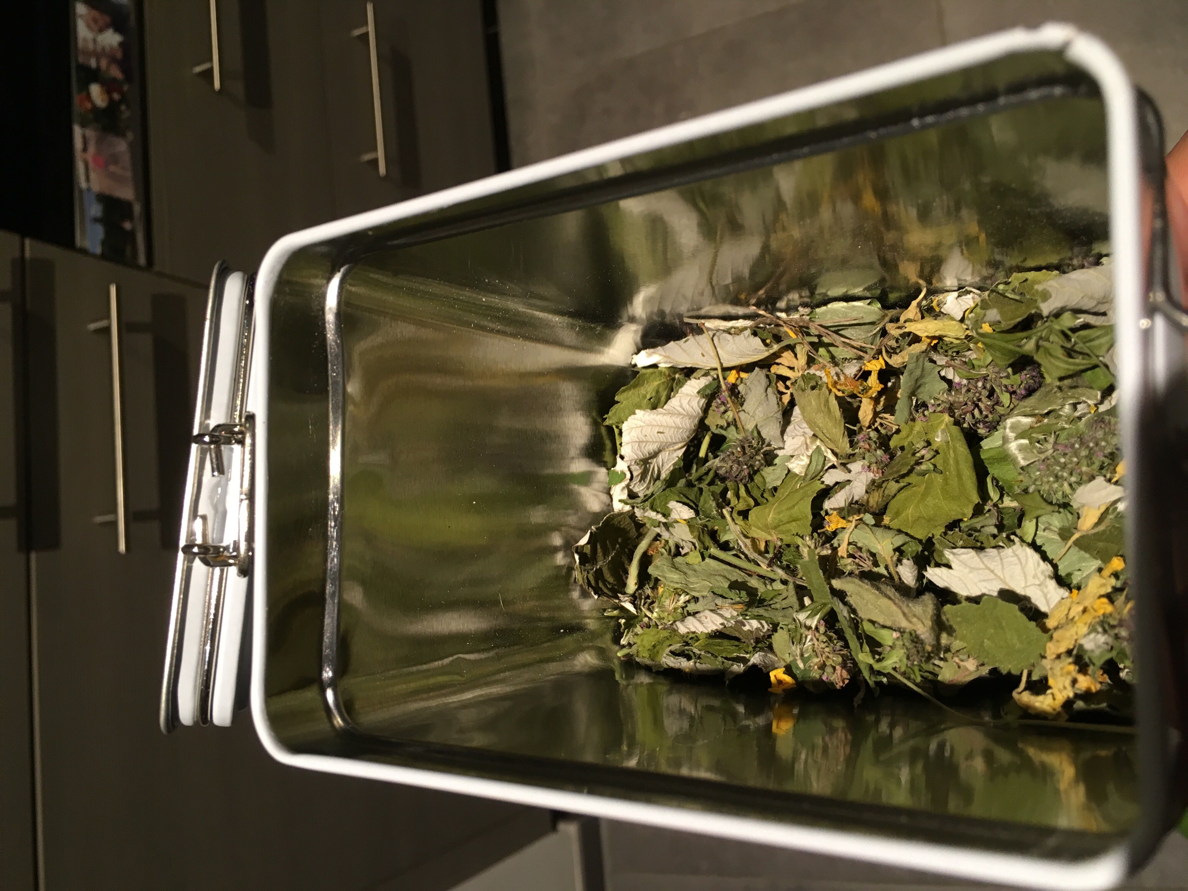 Whalers Killer Coconut