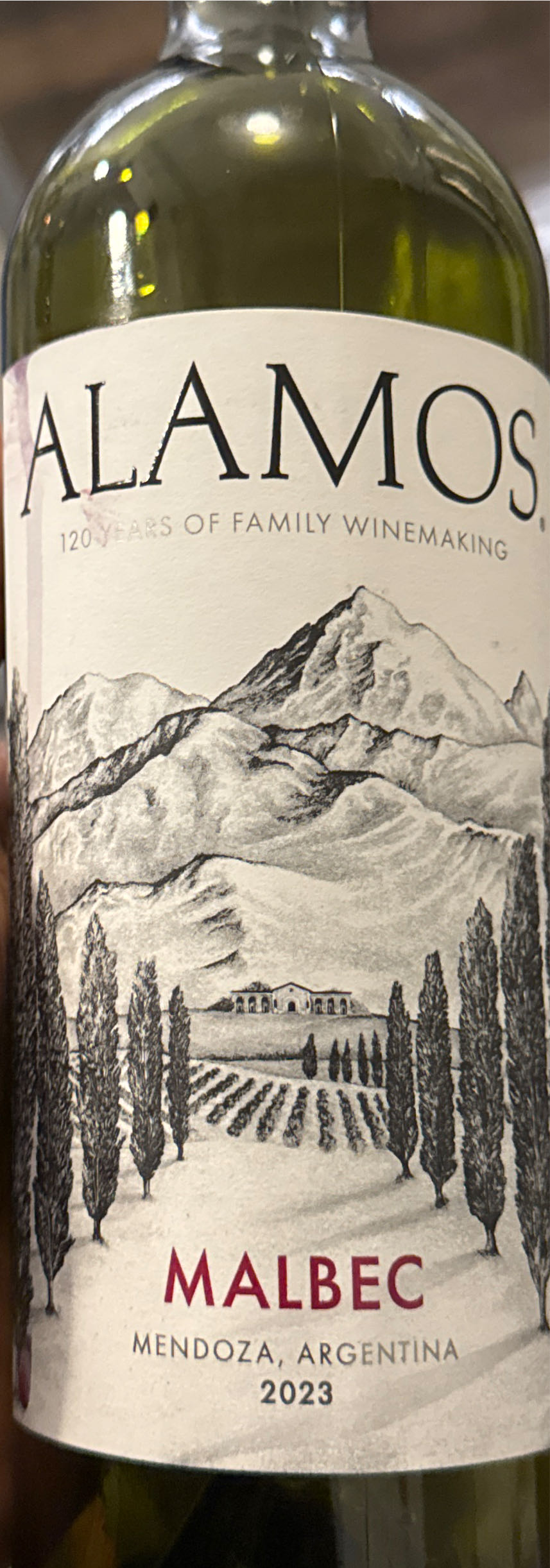 Guinness Extra Stout