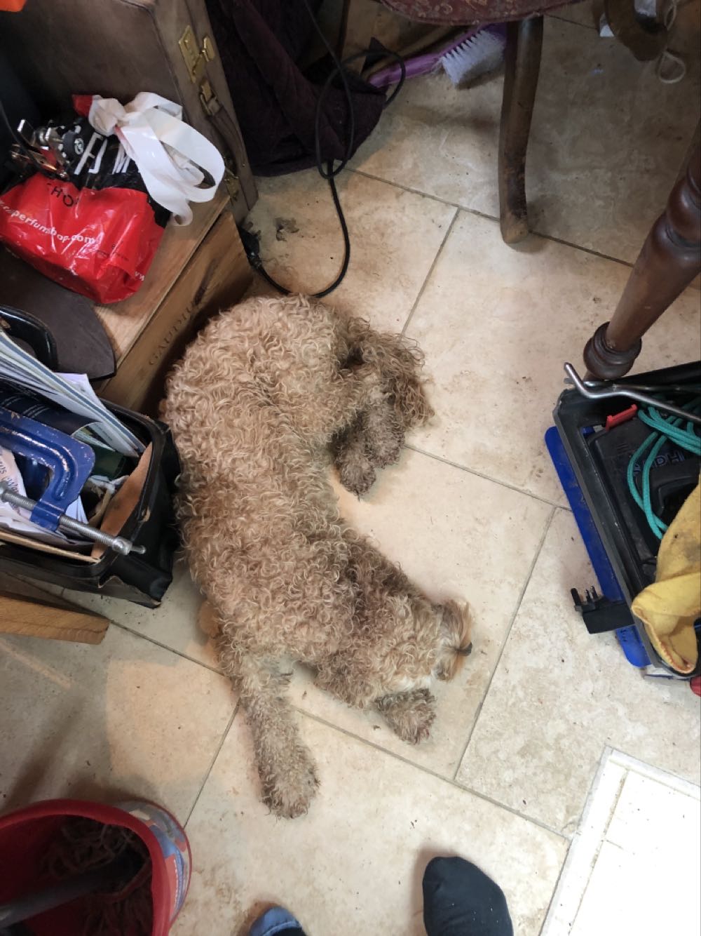 Smirnoff Zero Sugar Infusions