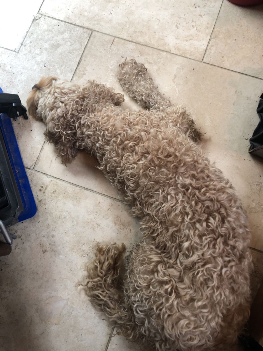 Graham’s - Vintage