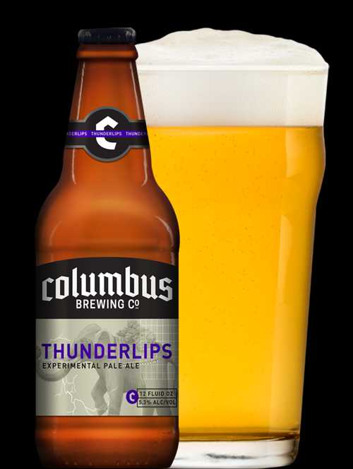 Lone Star State Of Mind