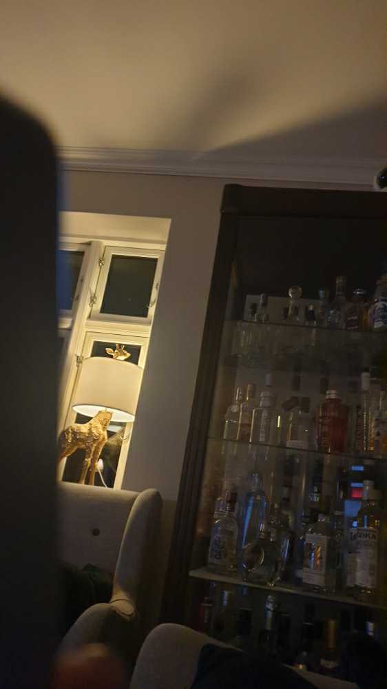 Remus Repeal Reserve