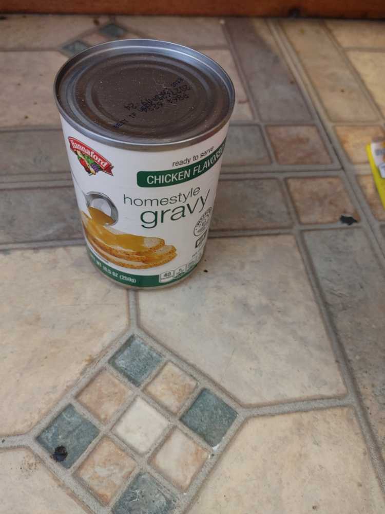 Delirium Tremens 16oz Can Wine