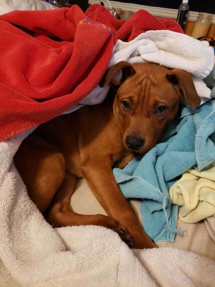 Gib Deinem Leben Einen Gin