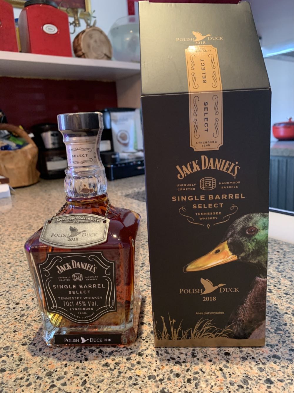 Guitar Case (Poland)