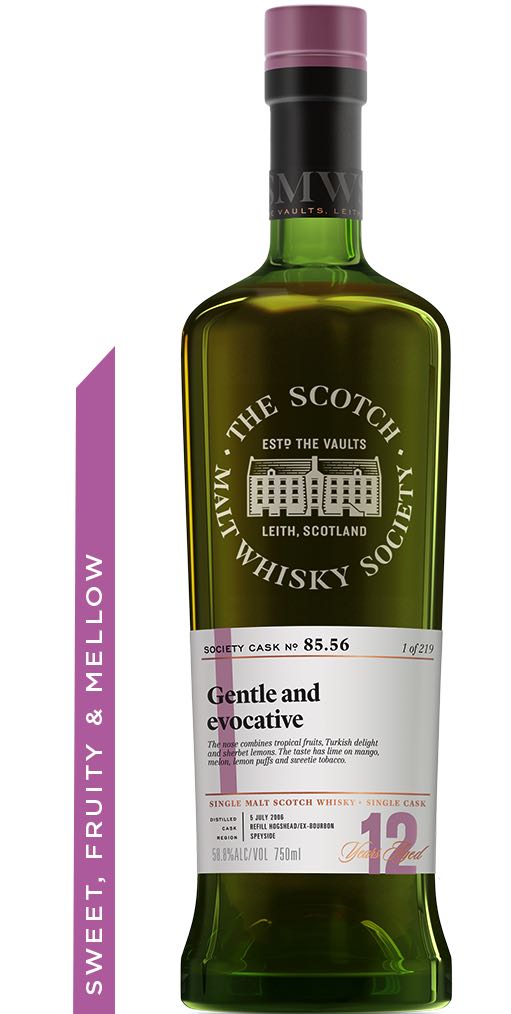 Margaritaville Silver