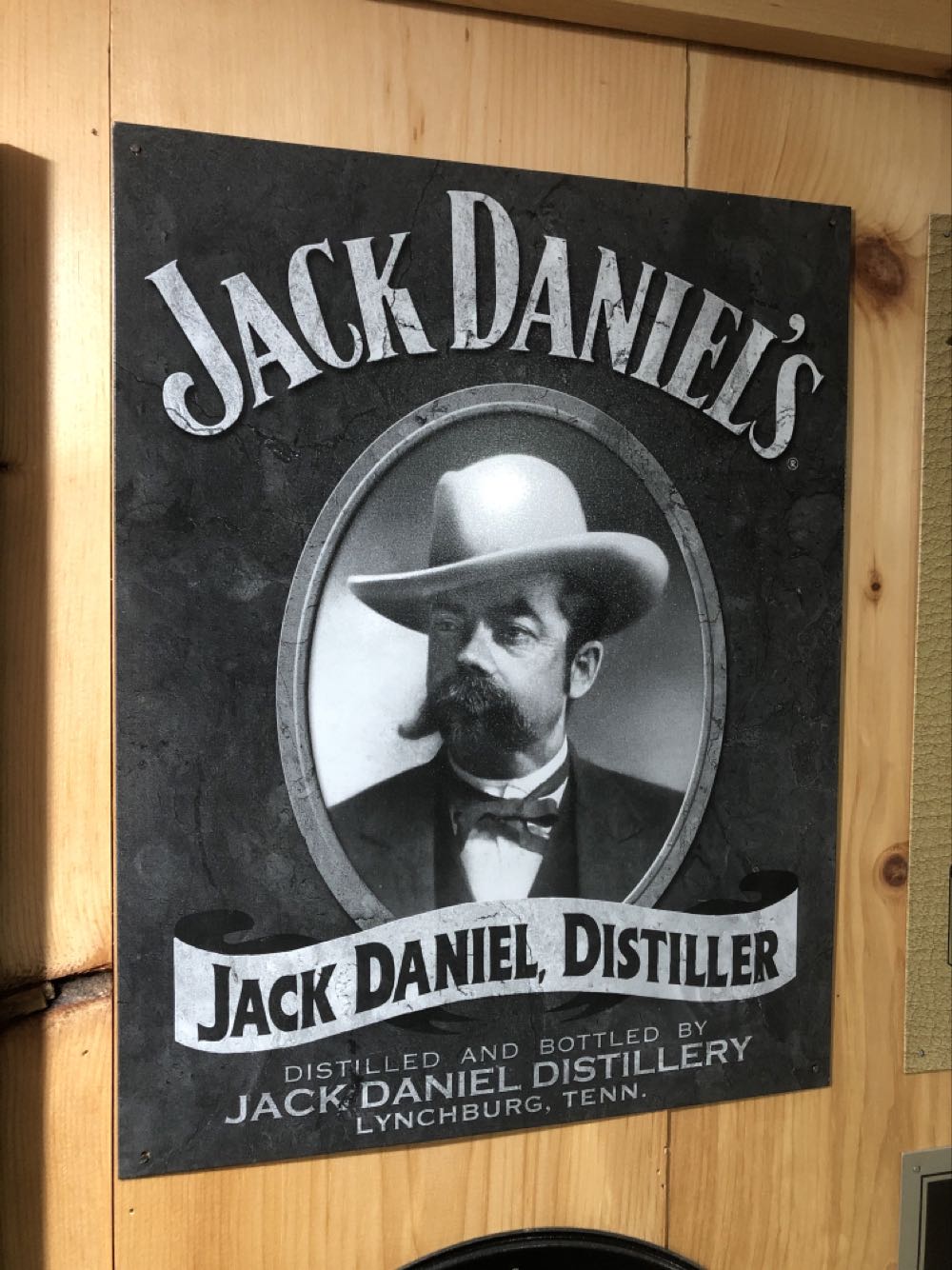 Admiral Nelson's Black Patch