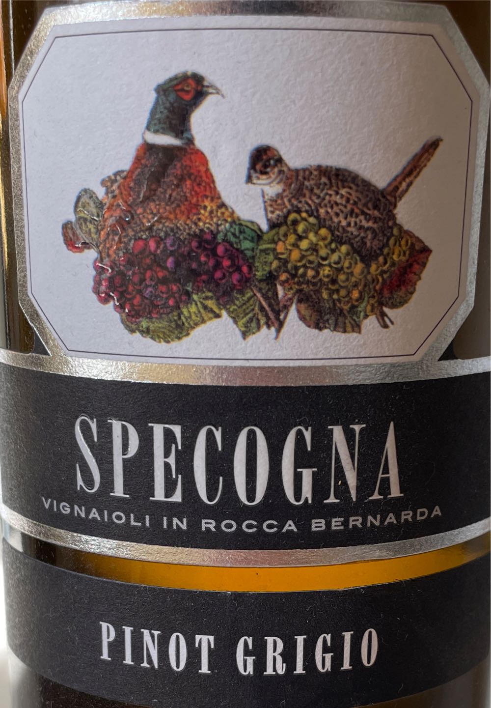 Stiggs Stump Town Brown