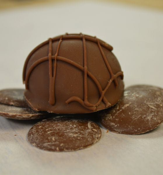 South Carolina Squire SB