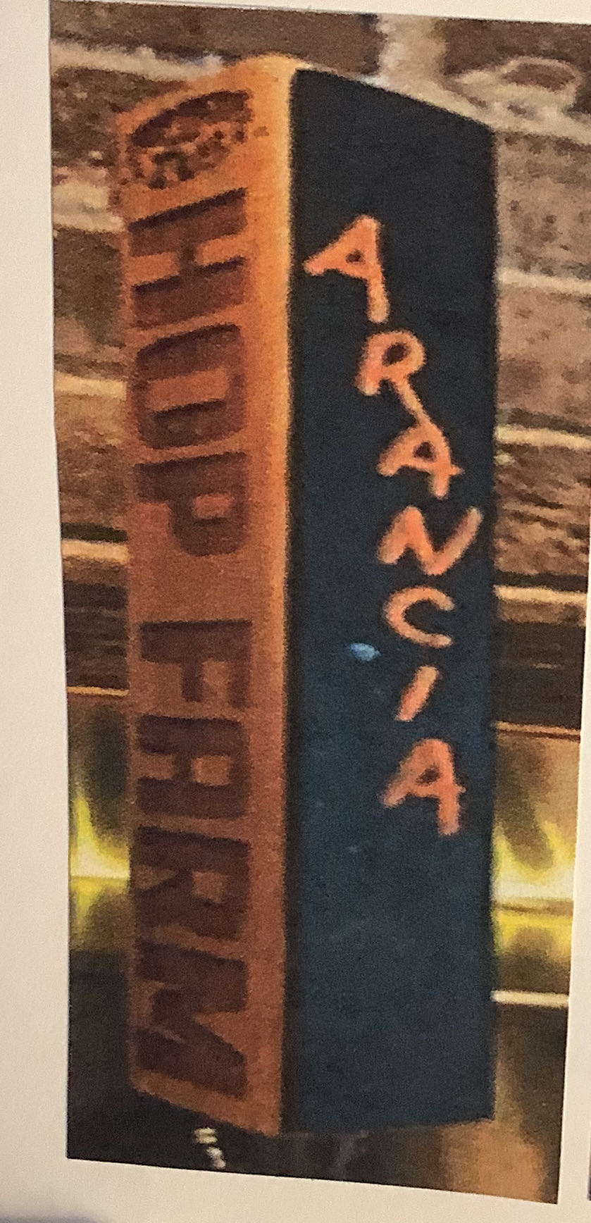 The Macallan Night On Earth In Scotland