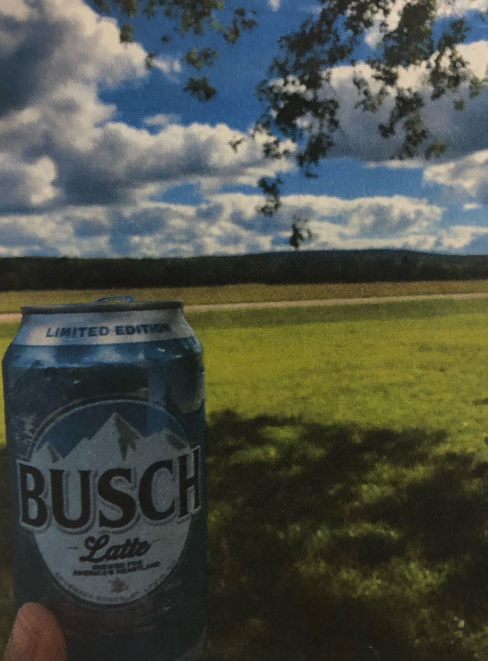 Bragi DDH Session IPA