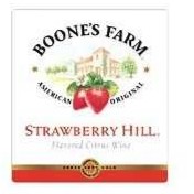 Boone’s Farm Strawberry Hill  - Boone’s Winery (750 mL) alcohol collectible - Main Image 2