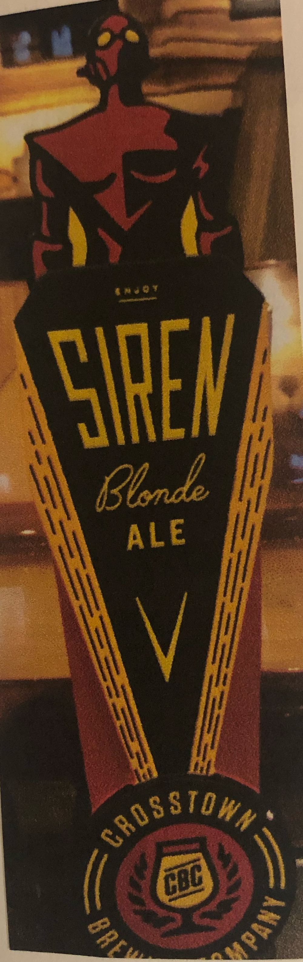 Brouwerij Van Steenberge Piraat Ale