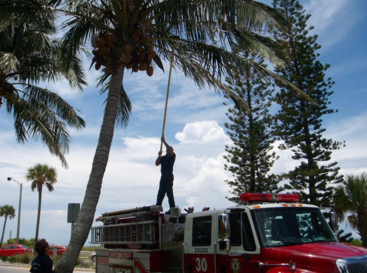 Leinenkugel’s Summer Shandy - Leinenkugel’s Brewing Company, Chippewa Falls alcohol collectible - Main Image 3