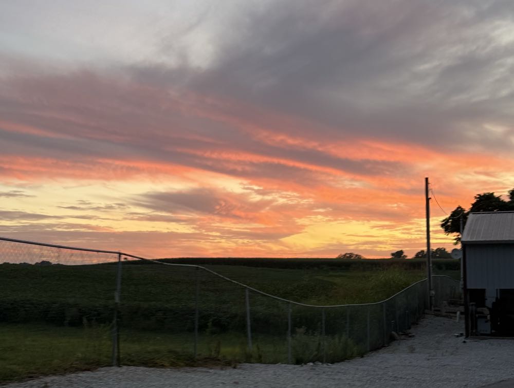 Atwater Dirty Blonde - Atwater Block Brewery, Detroit alcohol collectible - Main Image 4