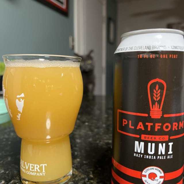 Anheuser-Busch Michelob Rye P.A.