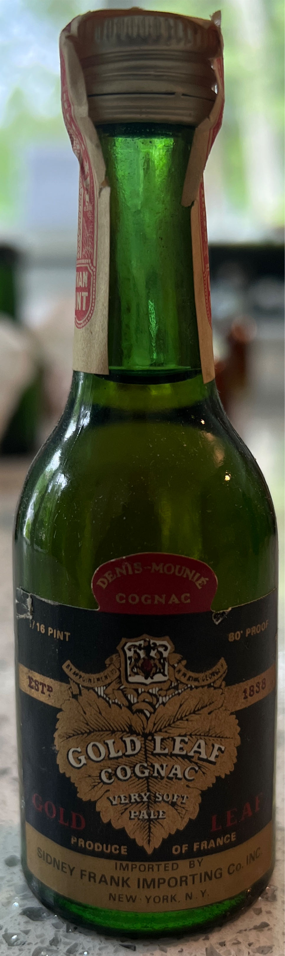 Von Payne Black V Gargoyle