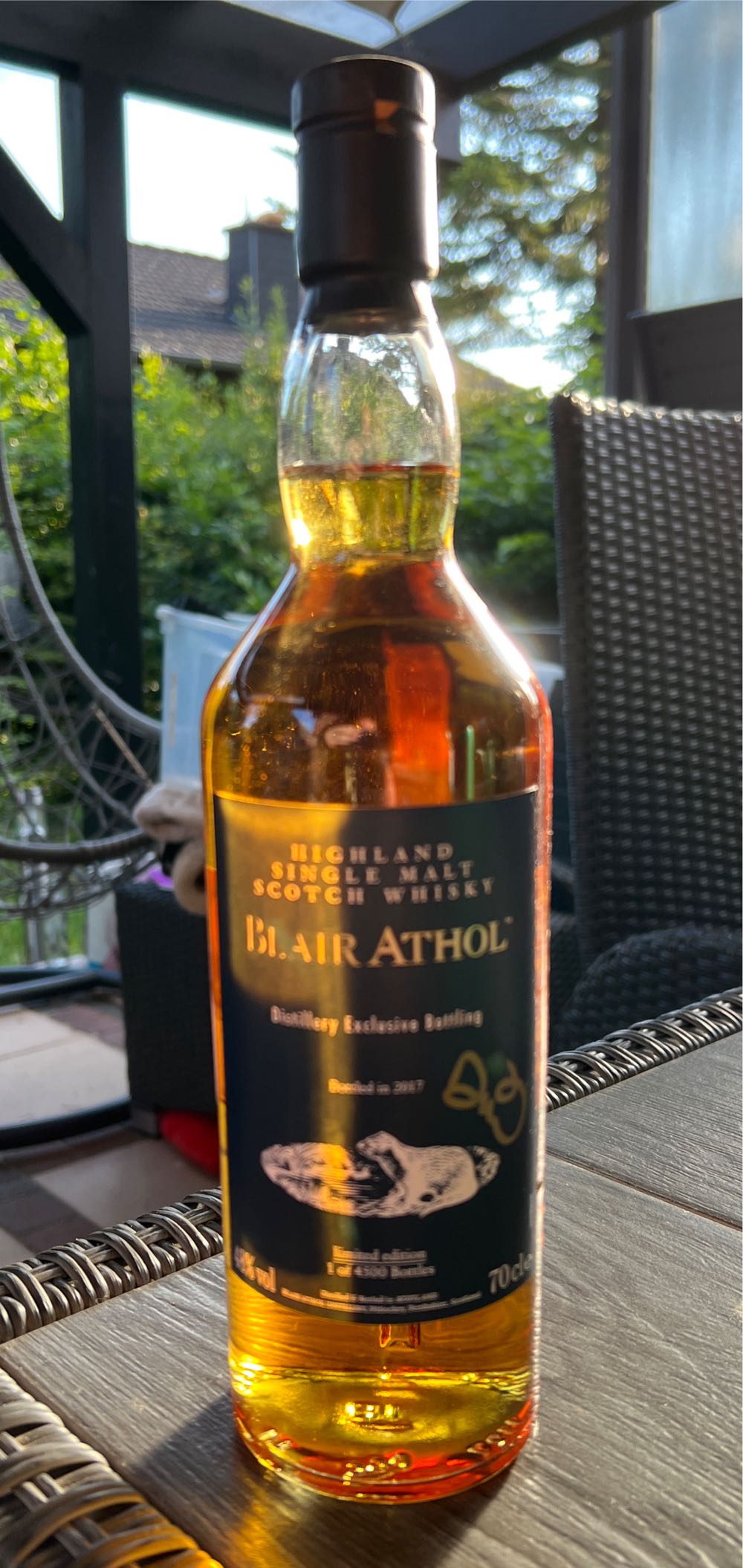 Travaler Bold & Spicy